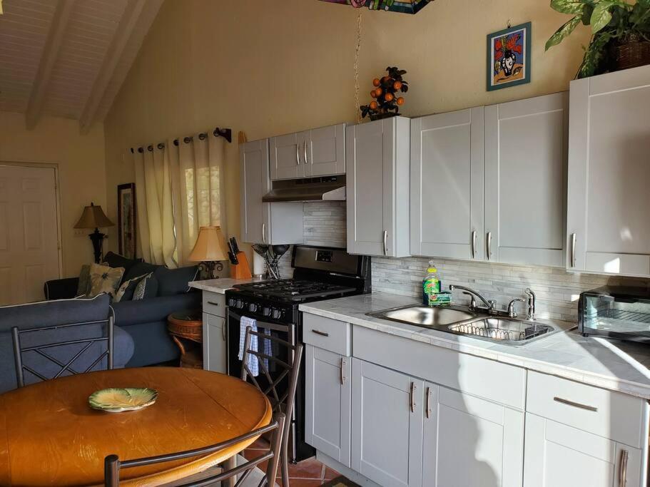 The Cottage At Villa Indigo Charlotte Amalie Luaran gambar